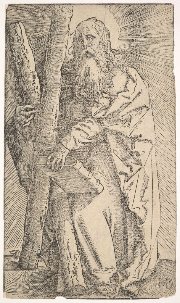 Detail of St. Andrew from Christ and the Apostles, 1519 by Hans Baldung