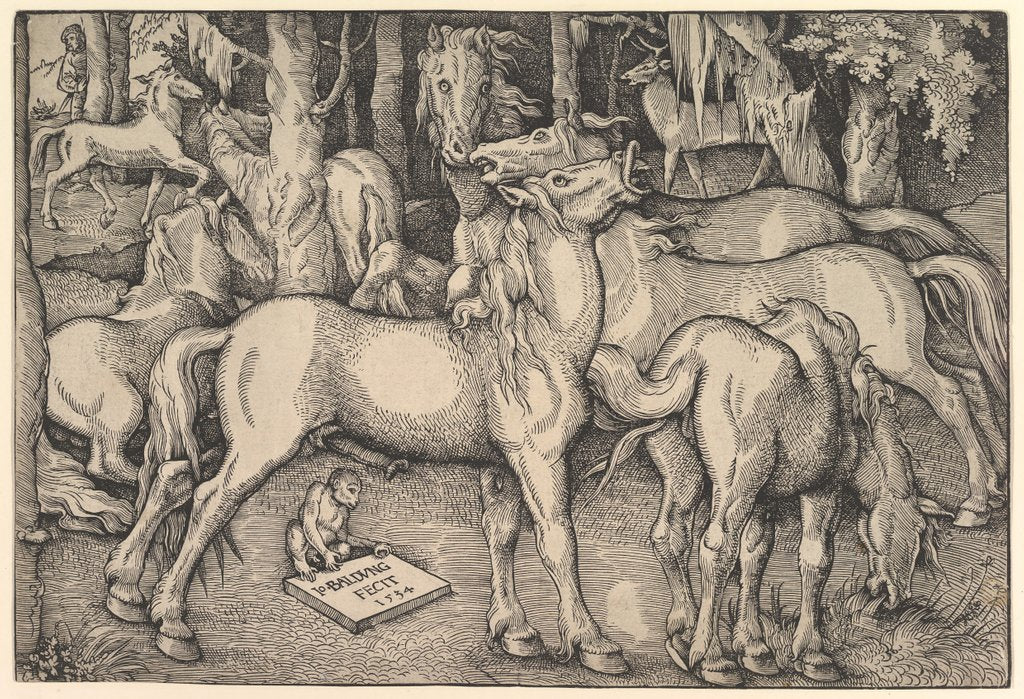 Detail of Group of Seven Horses, 1534 by Hans Baldung