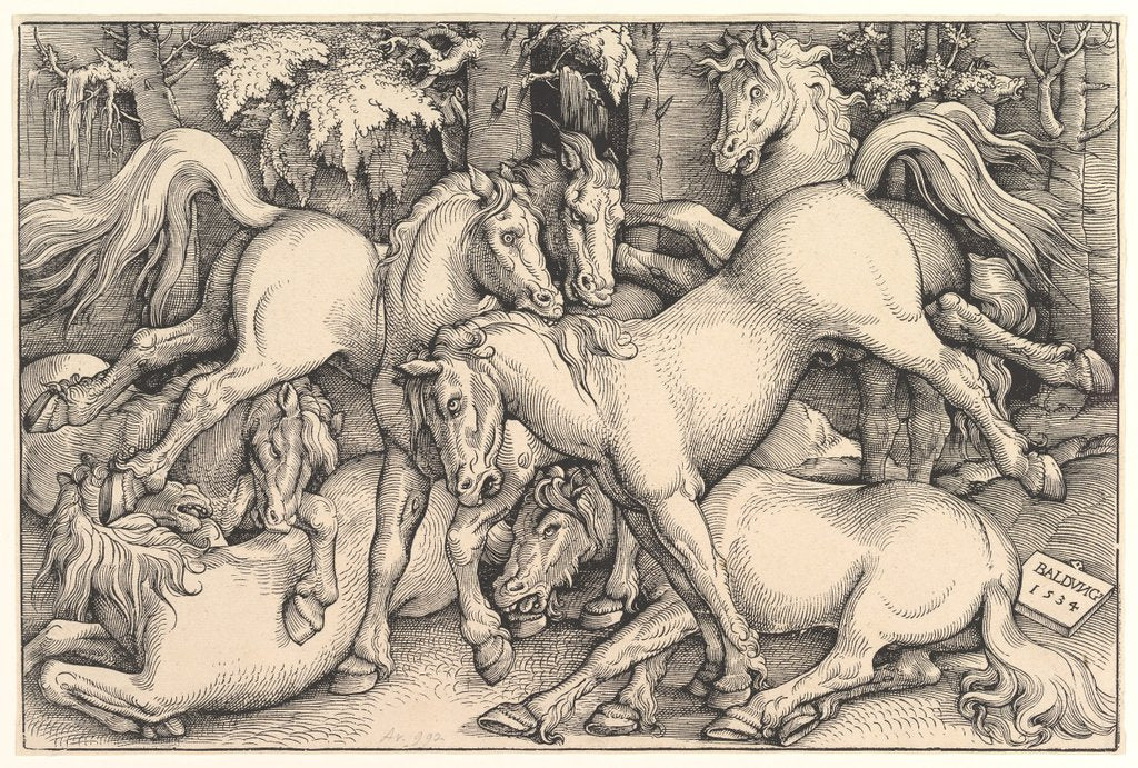 Detail of Group of Seven Horses, 1534 by Hans Baldung