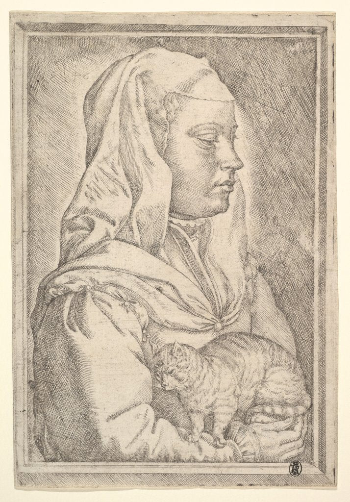 Detail of Girl with a Cat, 1546 by Jan Cornelisz Vermeyen