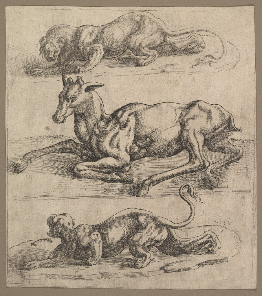 Detail of A Doe and Two Lionesses, ca. 1540 by Jan Cornelisz Vermeyen (attributed to)