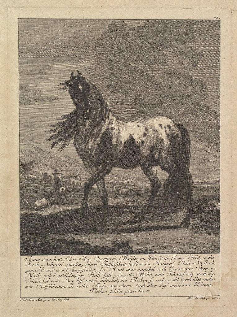 Detail of Horse, 18th Century by Unknown