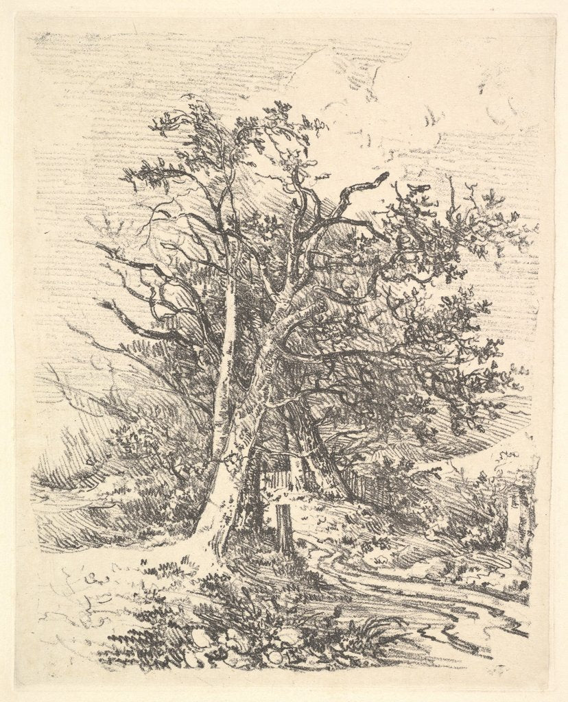 Detail of Tree Trunks and Lane, 1811-13 by John Crome