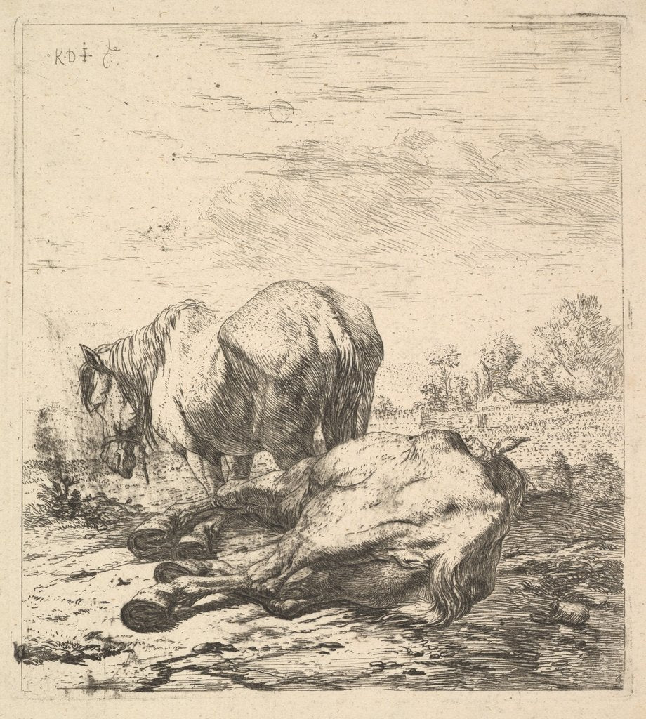Detail of The Two Horses, 17th century by Karel Du Jardin