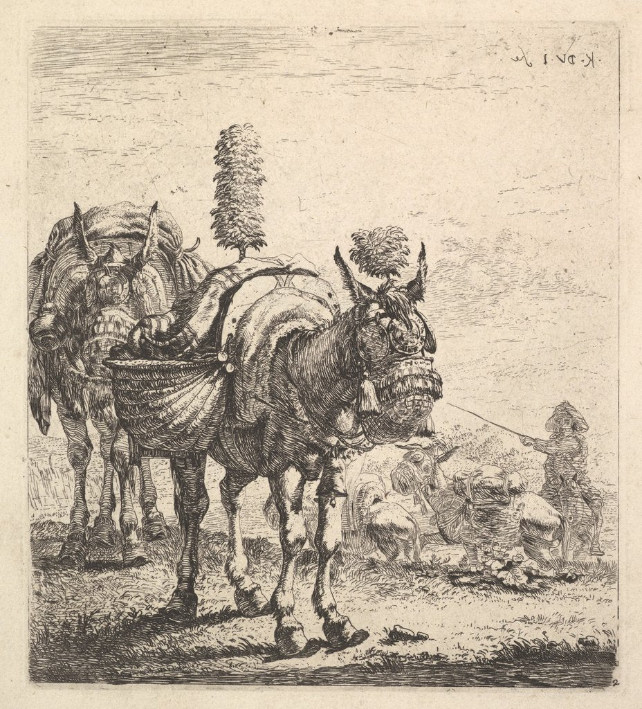 Detail of Two mules bearing panniers and outfitted with blinders, plumes, and tassels; one mu…, ca. 1641-78 by Karel Du Jardin