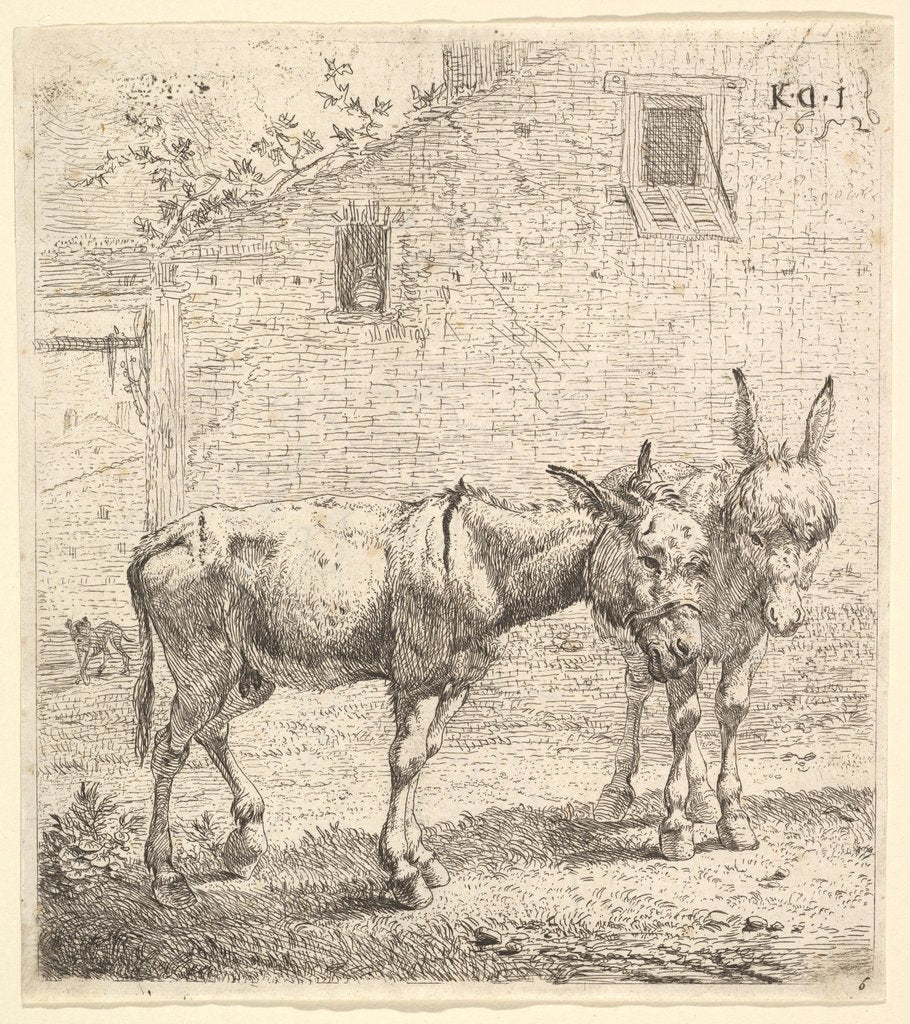 Detail of Two donkeys standing in a grassy yard, one in profile view facing right and another behind…, 1652 by Karel Du Jardin