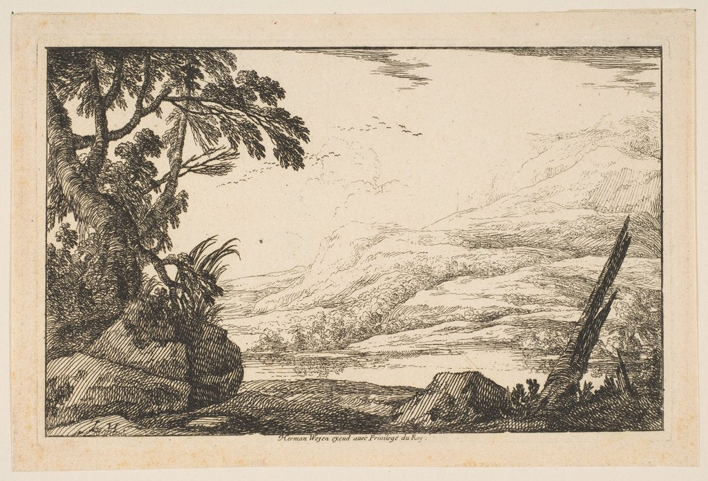 Detail of Clump of Trees, 1640 by Laurent de la Hyre