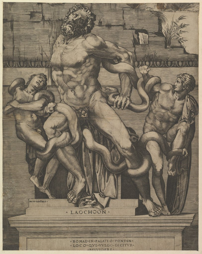 Detail of Speculum Romanae Magnificentiae: Laocoon, 16th century by Marco Dente
