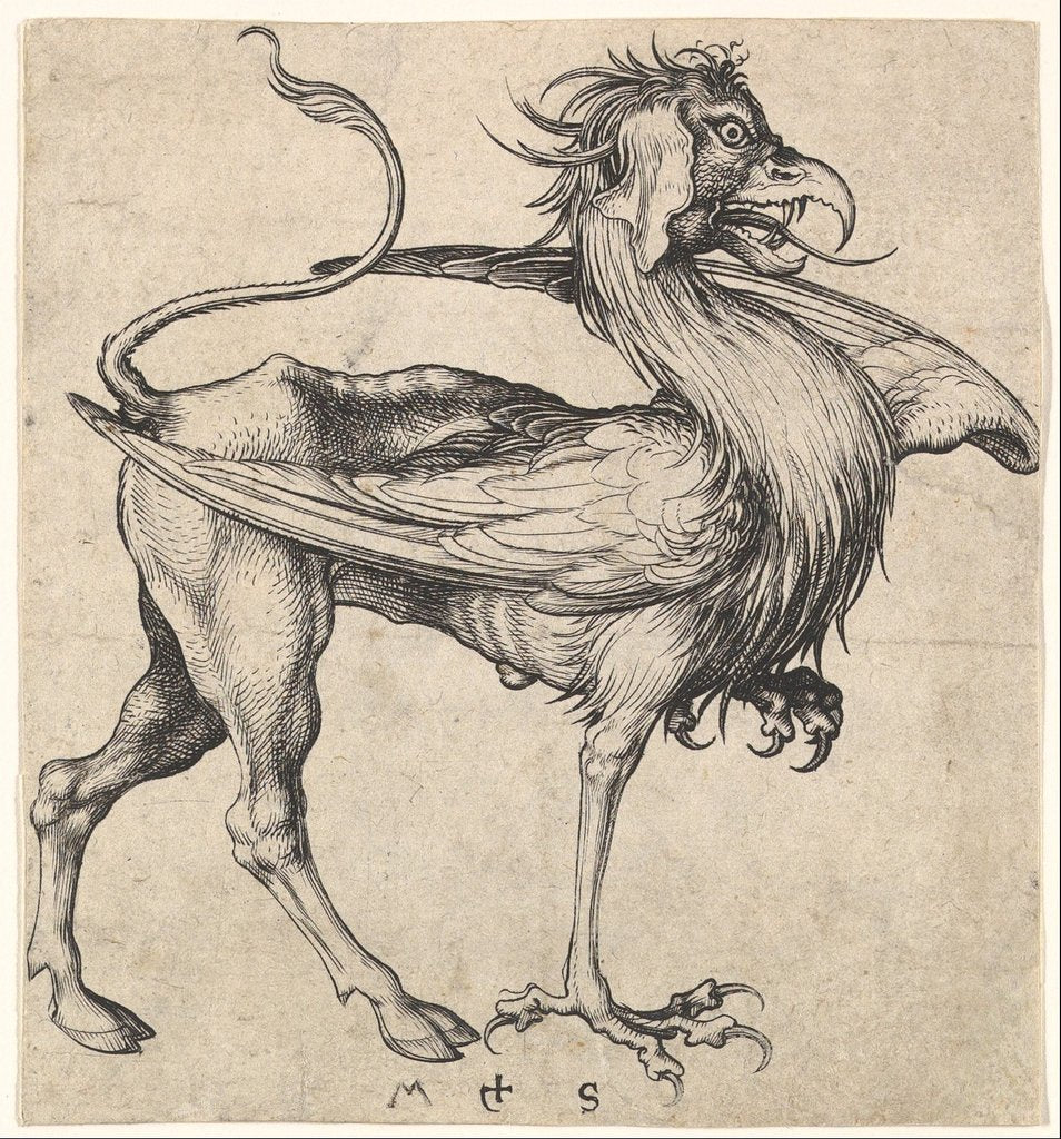 Detail of Griffin, ca. 1435-1491 by Martin Schongauer