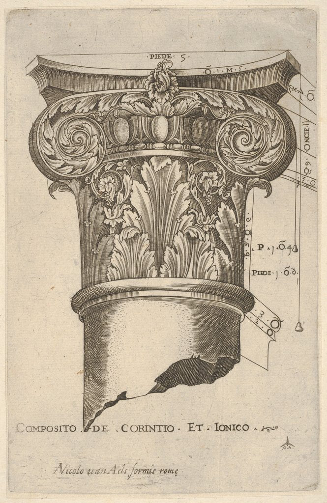 Detail of Composite capital with measurements, ca. 1537 by Master GA