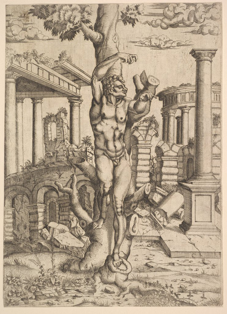 Detail of Man Against a Tree, ca. 1543-44 by Master IQV