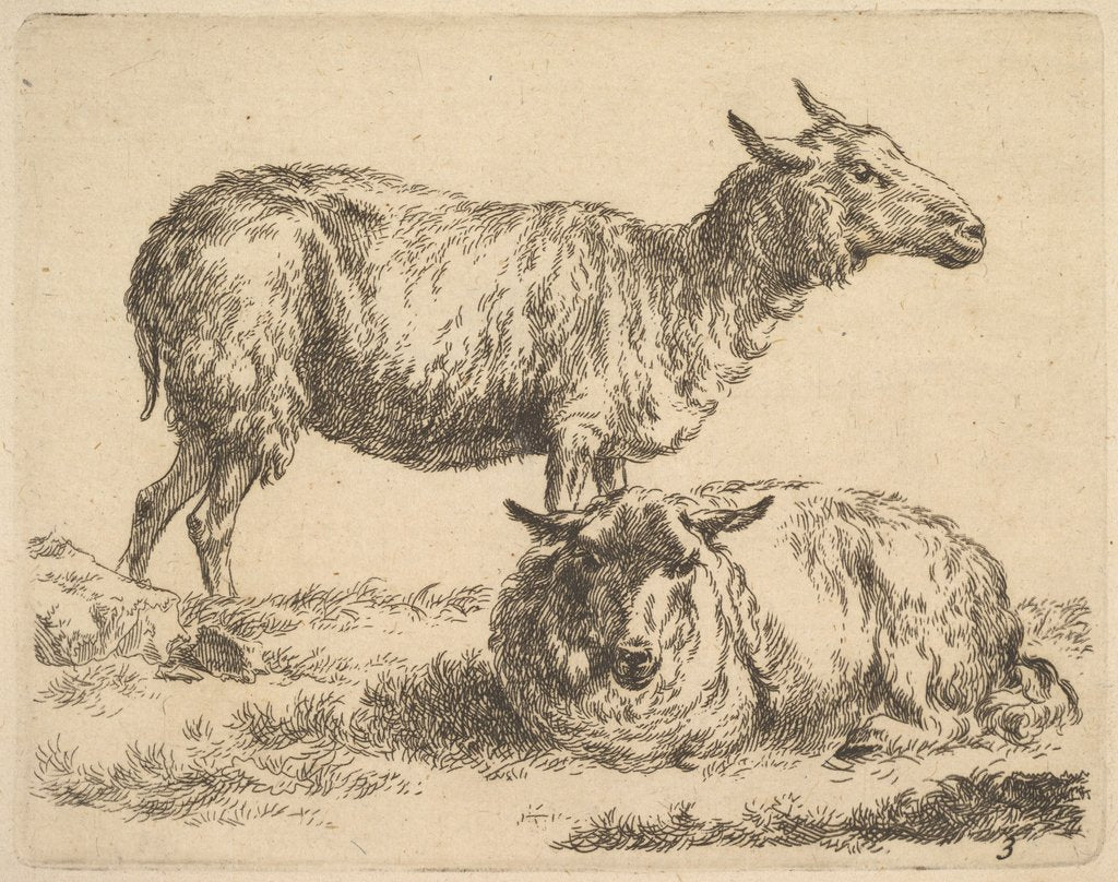 Detail of from The Set of Sheep by Nicolaes Berchem