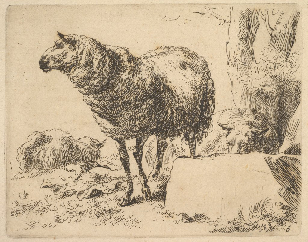 Detail of from The Set of Sheep by Nicolaes Berchem