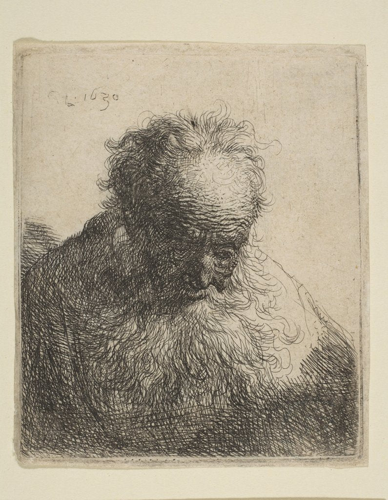 Detail of Bust of an Old Man with a Flowing Beard: the Head Bowed Forward: Left Shoulder Unshaded, 1630 by Rembrandt Harmensz van Rijn