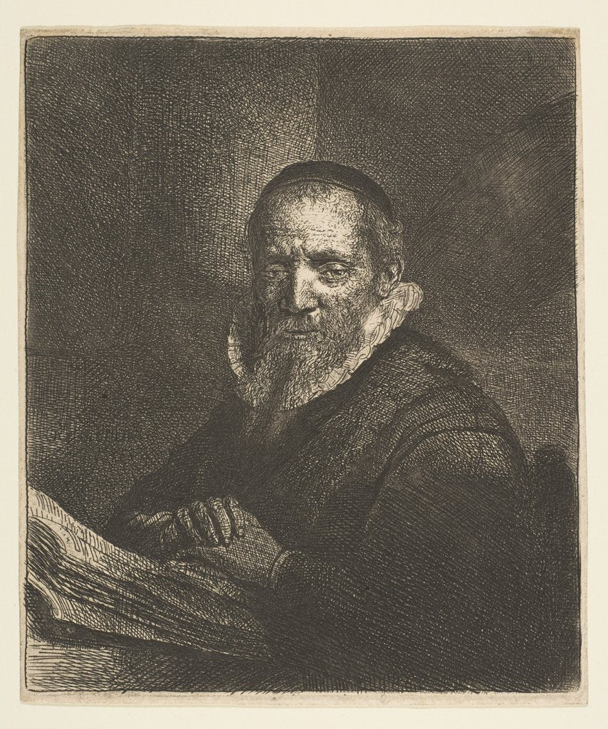 Detail of Jan Cornelis Sylvius, 1633 by Rembrandt Harmensz van Rijn