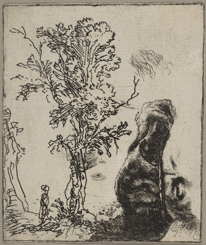 Detail of Sheet with Two Studies: A Tree and the Upper Part of a Head of Rembrandt Wearing a Vel…, ca. 1642 by Rembrandt Harmensz van Rijn