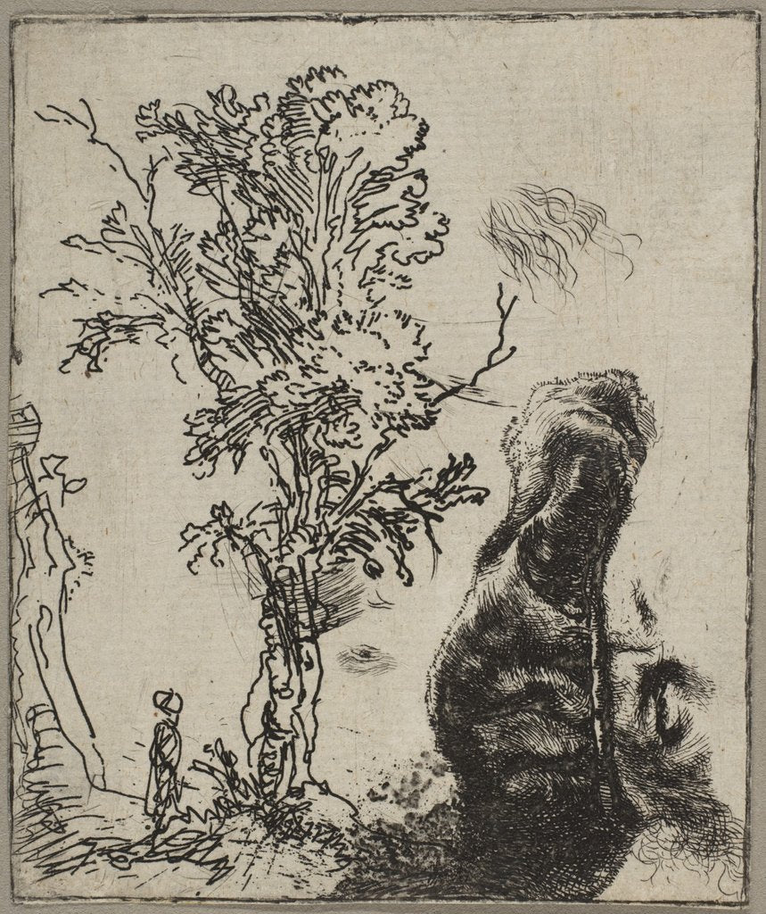 Sheet with Two Studies: A Tree and the Upper Part of a Head of Rembrandt Wearing a Vel…, ca. 1642 by Rembrandt Harmensz van Rijn