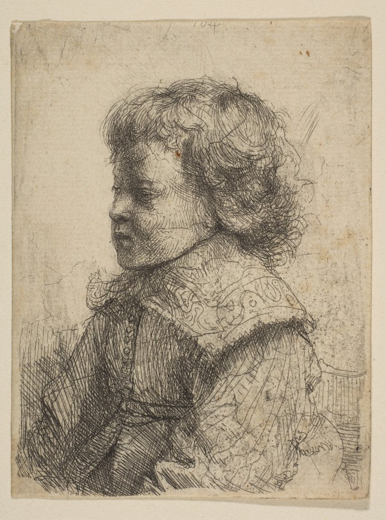 Detail of Portrait of a Boy, in Profile, 1641 by Rembrandt Harmensz van Rijn