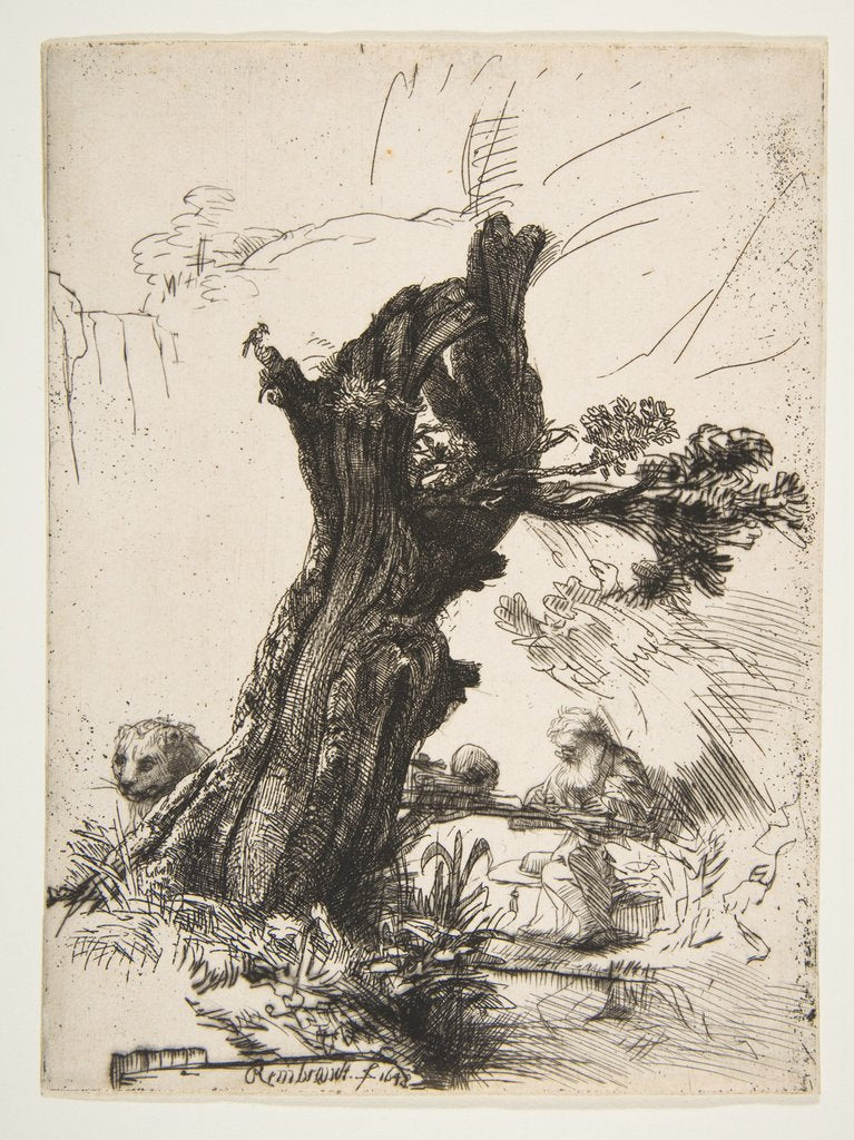 Detail of St. Jerome beside a Pollard Willow, 1648 by Rembrandt Harmensz van Rijn