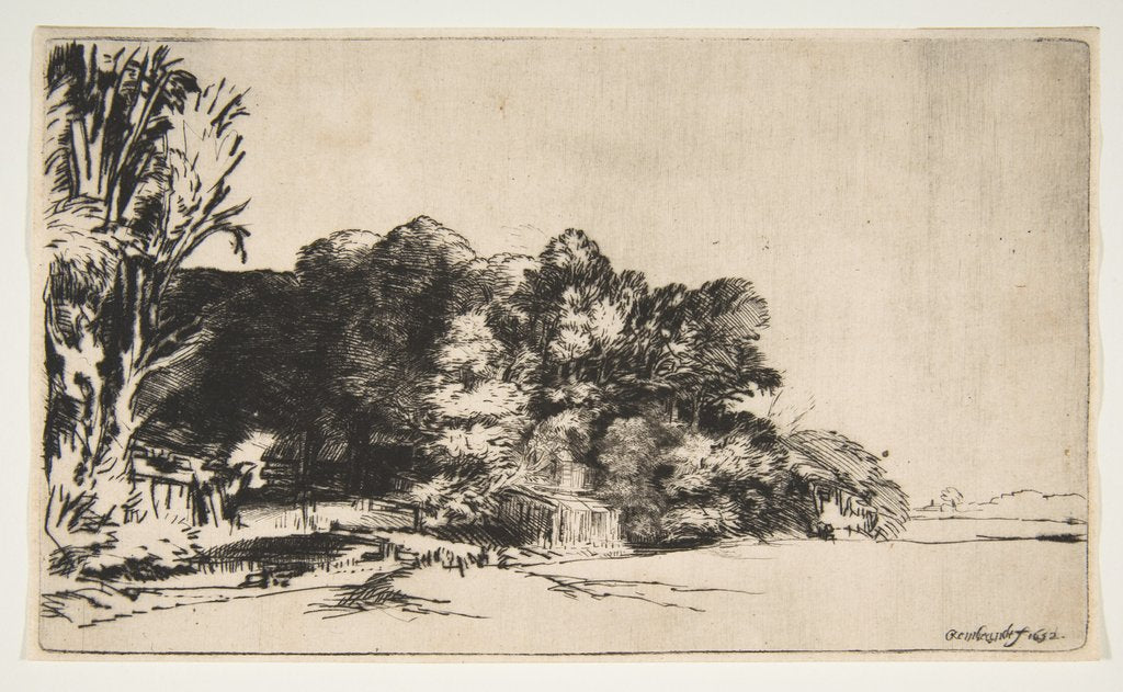 Detail of Clump of Trees with a Vista, 1652 by Rembrandt Harmensz van Rijn