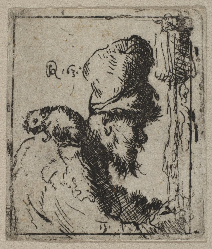 Detail of Head of a Rat Catcher, 17th century by Unknown