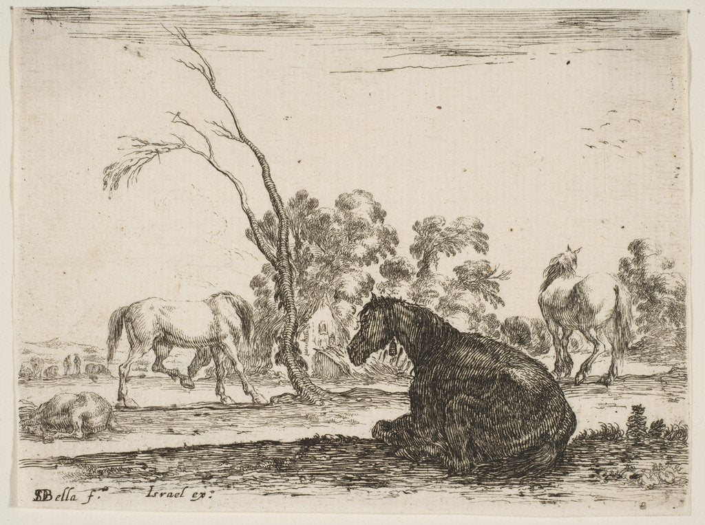 Detail of Plate 8: a seated horse to right, seen from behind and turned to the left, three other hor…, 1642 by Stefano della Bella