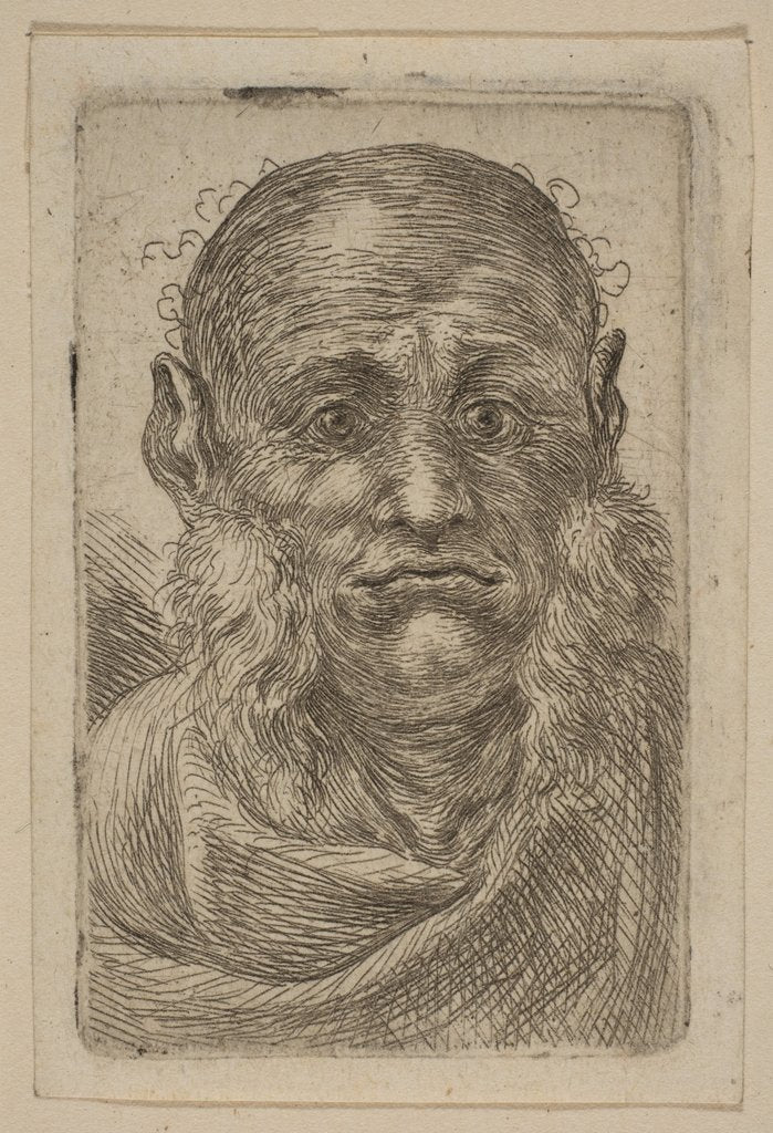 Head of Old Man by Stefano della Bella (attributed to)