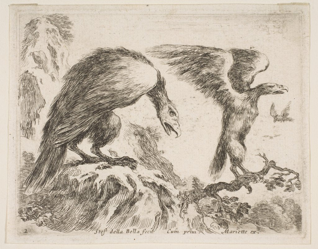 Detail of Plate 2: eagle and eaglet, from 'Various animals', ca. 1641 by Stefano della Bella
