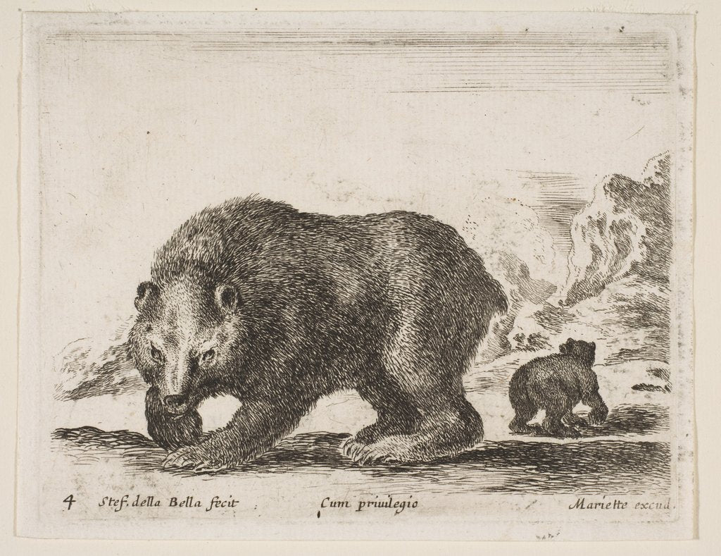 Detail of Plate 4: bear, from 'Various animals', 1641 by Stefano della Bella