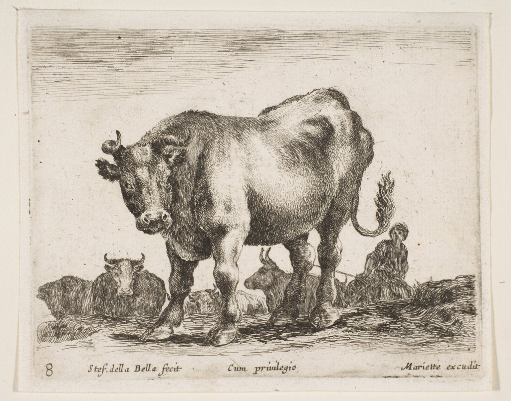 Detail of Plate 8: cow, from 'Various animals', ca. 1641 by Stefano della Bella