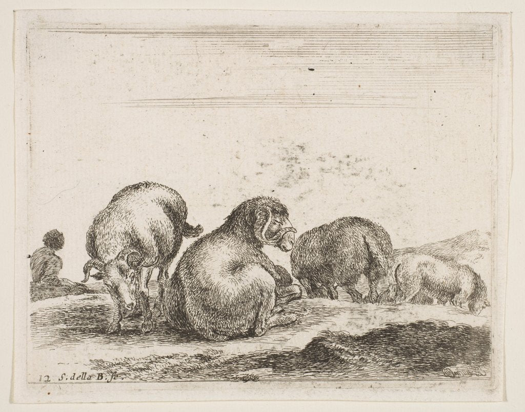Detail of Plate 12: sheep and ram in a pasture, from 'Various animals', ca. 1641 by Stefano della Bella