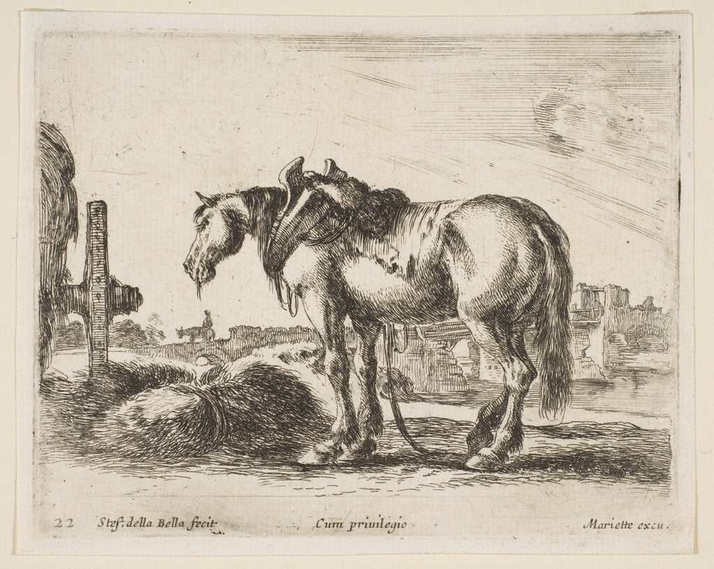 Detail of Plate 22: cart horse, from 'Various animals', ca. 1641 by Stefano della Bella