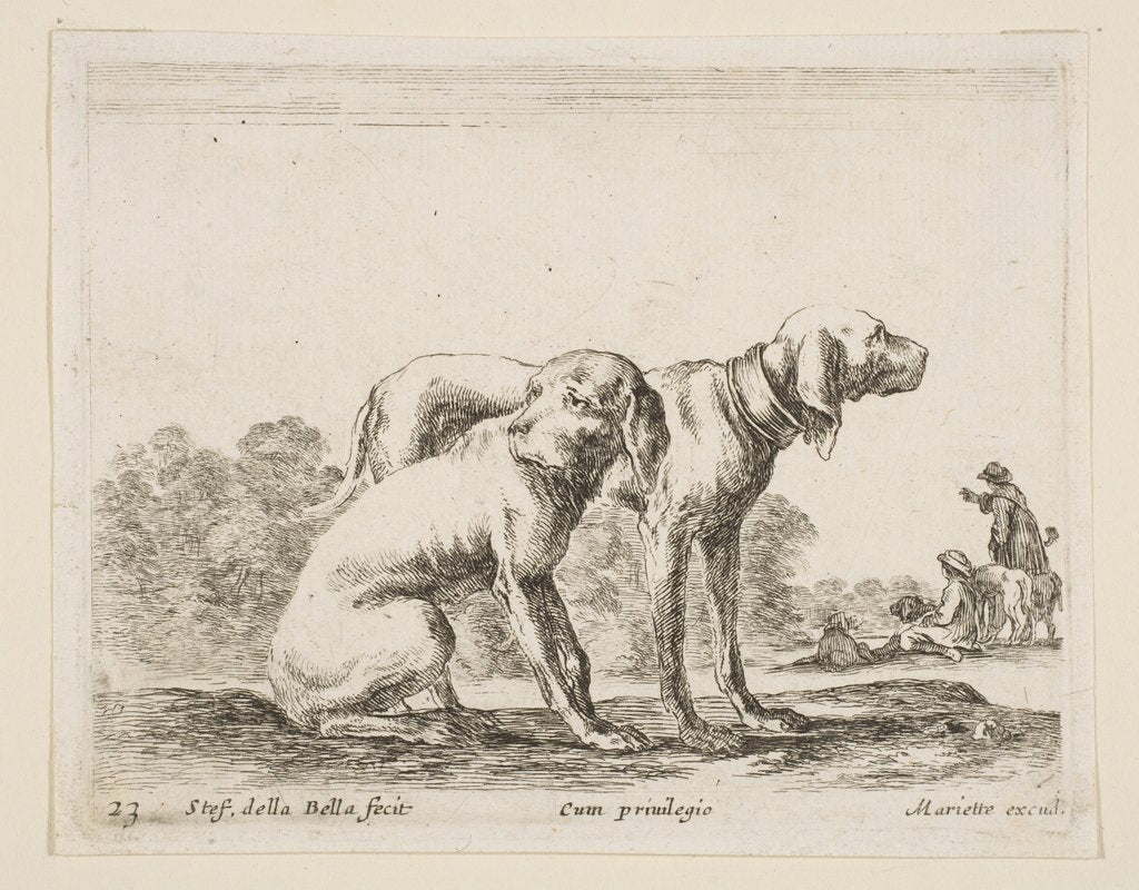 Detail of Plate 23: two hounds, from 'Various animals', ca. 1641 by Stefano della Bella