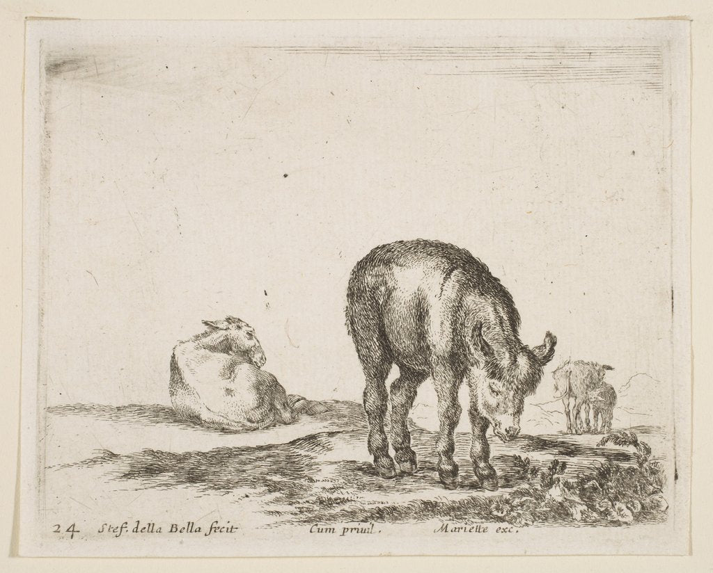 Detail of Plate 24: donkeys, from 'Various animals', ca. 1641 by Stefano della Bella