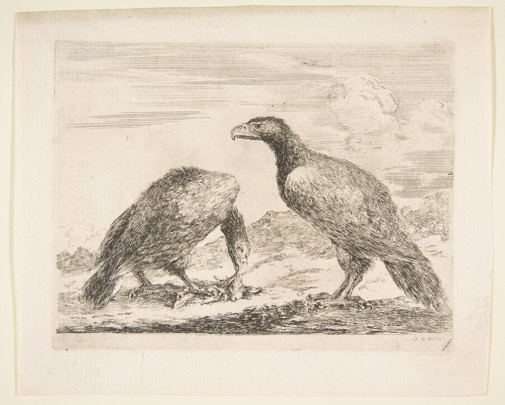 Detail of Two eagles, one devouring a lamb, from 'Eagles', ca. 1651 by Stefano della Bella