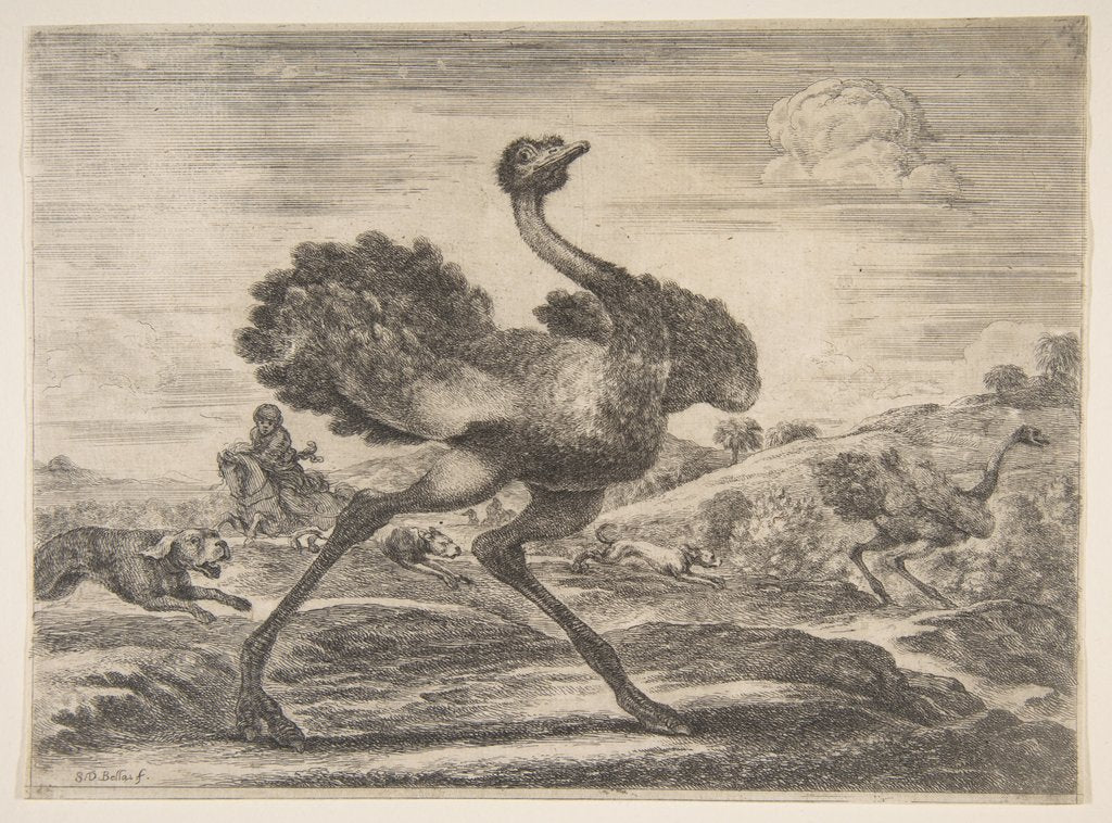 Detail of Ostrich hunt, from 'Animal hunts', ca. 1654 by Stefano della Bella