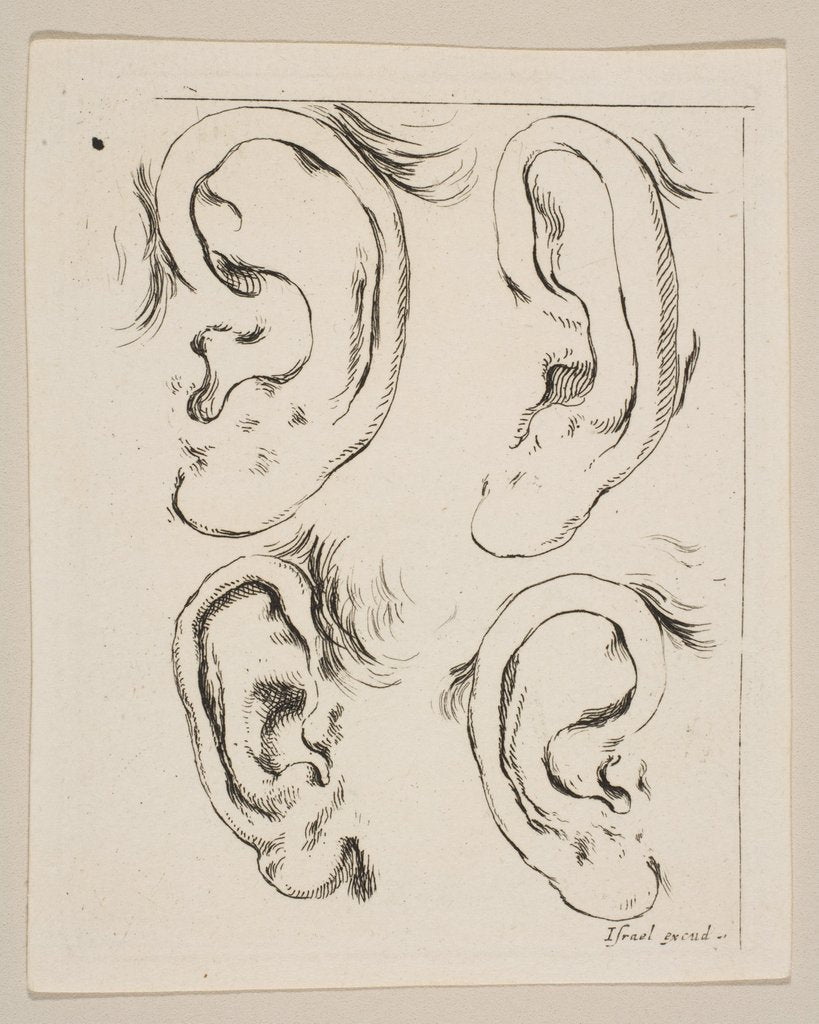 Detail of Plate 5: four ears, from 'The Book for Learning to Draw by Stefano della Bella