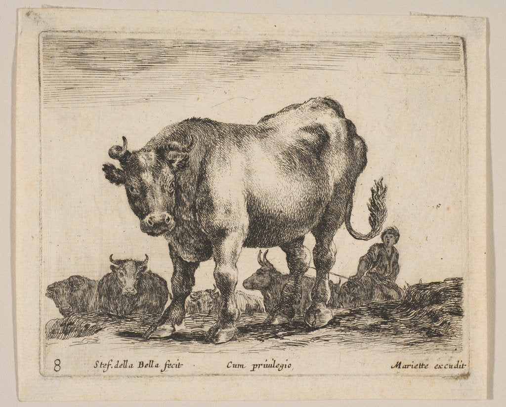 Detail of Plate 8: ox, from 'Various animals', ca. 1641 by Stefano della Bella