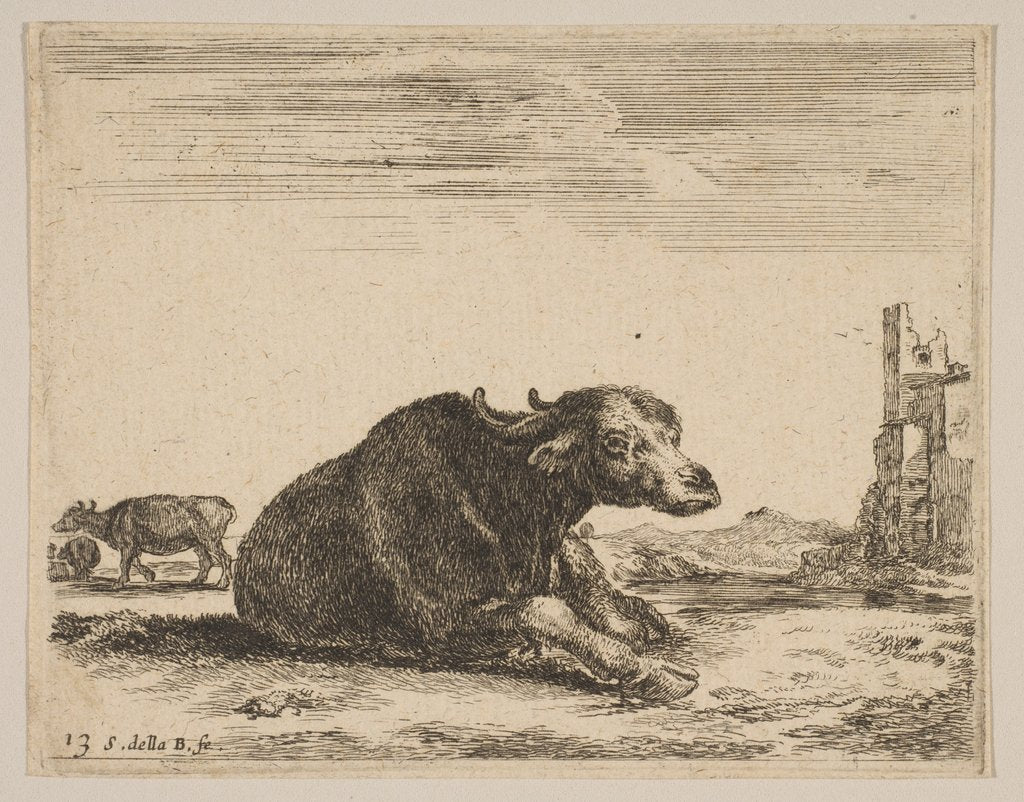 Detail of Plate 13: buffalo lying down, from 'Various animals', ca. 1641 by Stefano della Bella