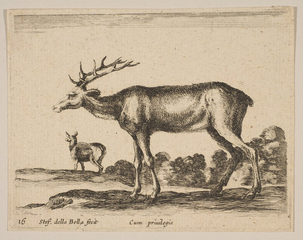 Detail of Plate 16: stag, from 'Various animals', ca. 1641 by Stefano della Bella