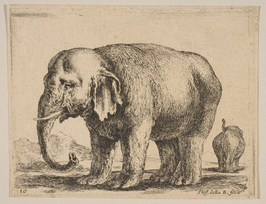 Detail of Plate 10: elephant, from 'Various animals', ca. 1641 by Stefano della Bella