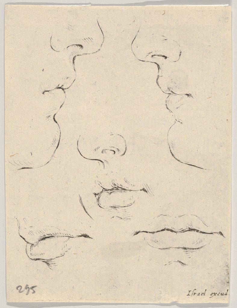 Detail of Plate 4: two profiles and three mouths, from 'The Book for Learning to Draw by Stefano della Bella