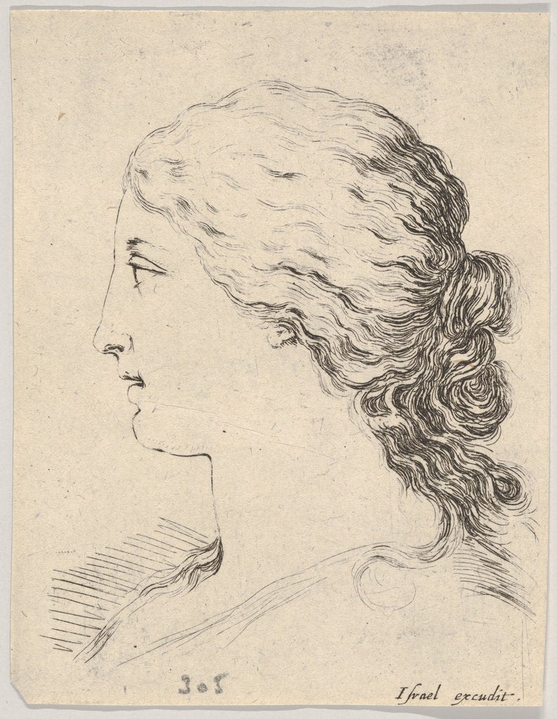 Detail of Plate 14: head of a woman, in profile, from 'The Book for Learning to Draw', ca. 1649 by Stefano della Bella
