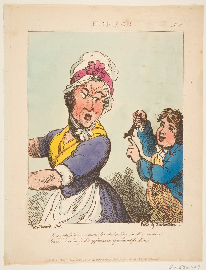 Detail of Horror, January 21, 1800 by Thomas Rowlandson