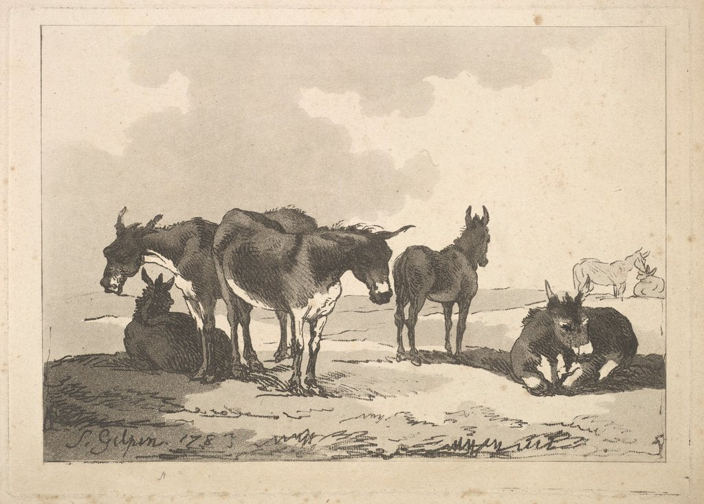 Detail of A Group of Five Donkeys, Three Standing, Two Lying, 1783-87 by Thomas Rowlandson