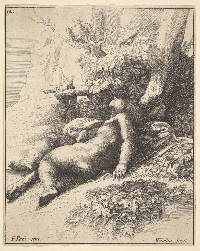Detail of Infant Hercules asleep, 1625-77 by Wenceslaus Hollar
