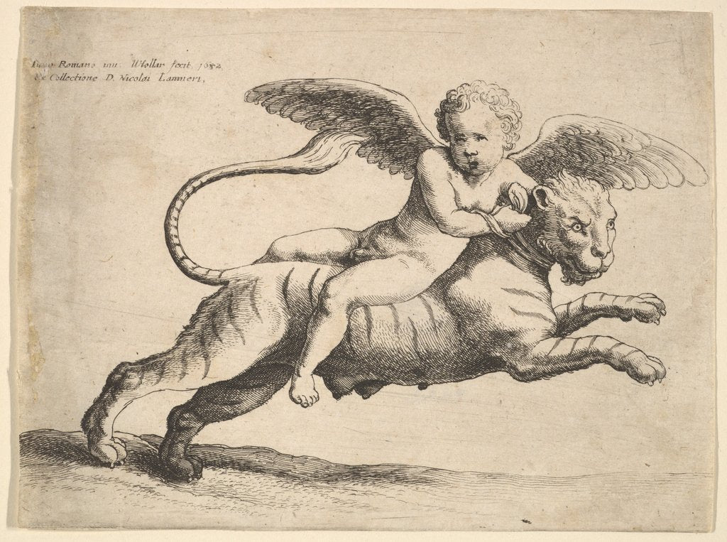 Detail of Cupid on a tiger, 1652 by Wenceslaus Hollar