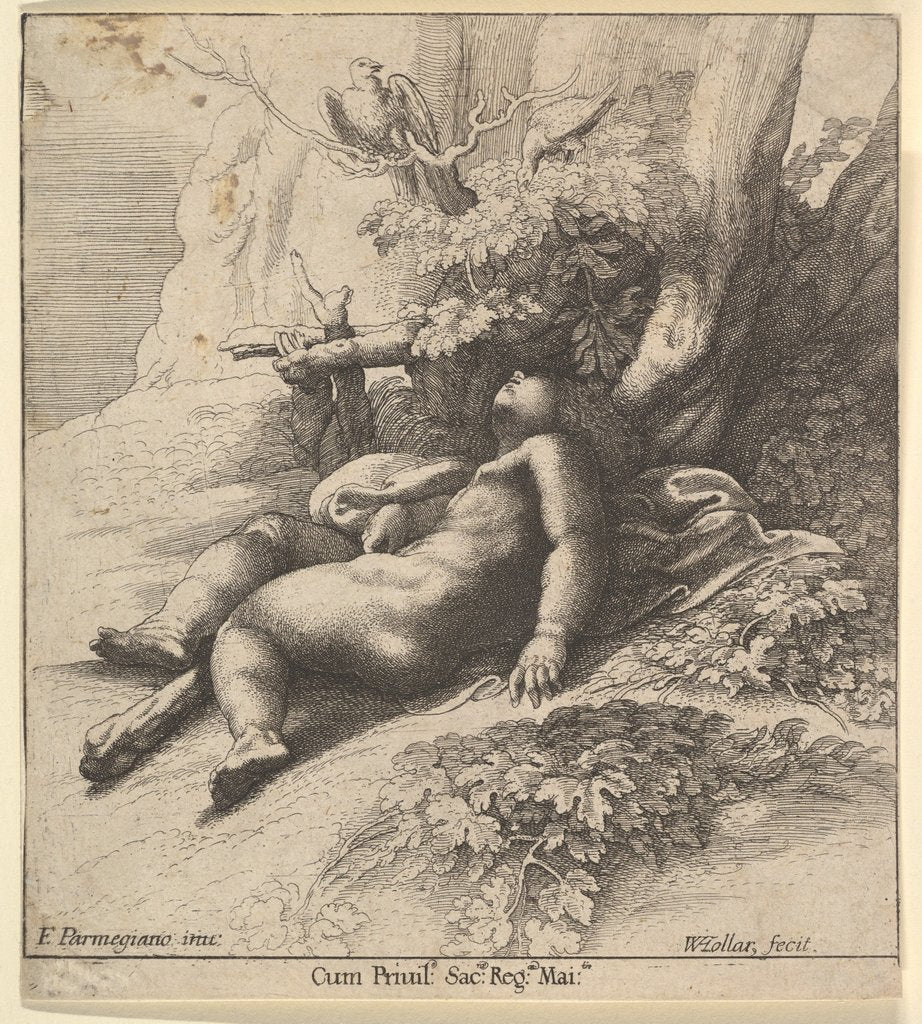 Detail of Infant Hercules asleep, 1625-77 by Wenceslaus Hollar
