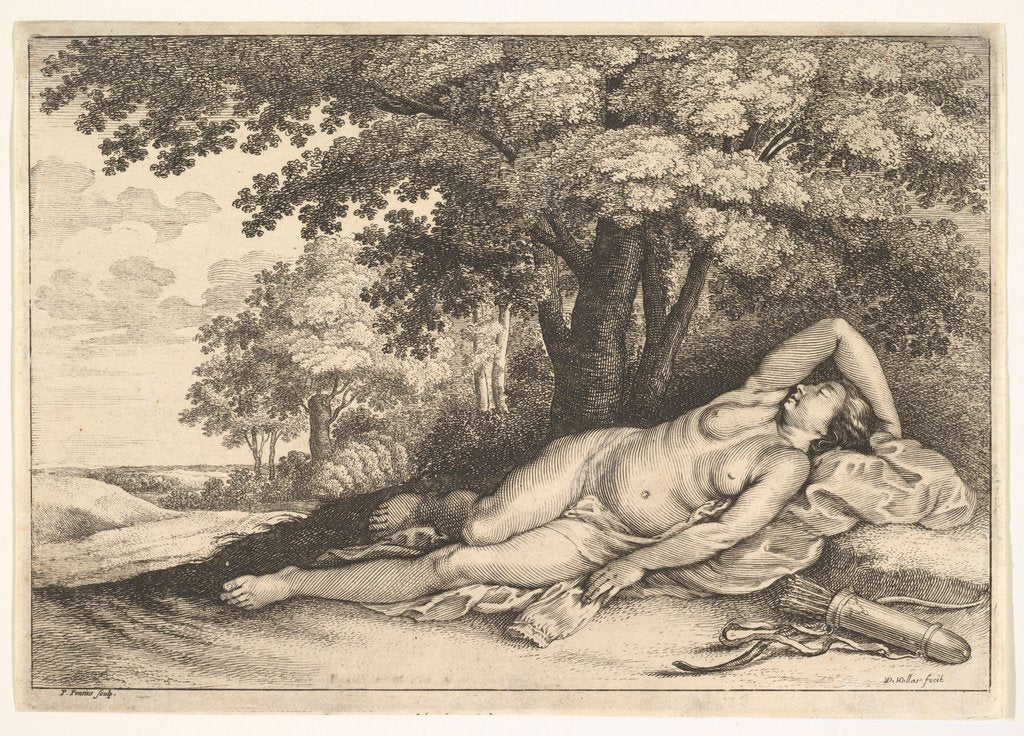 Detail of Sleeping Huntress, 1625-77 by Paulus Potter
