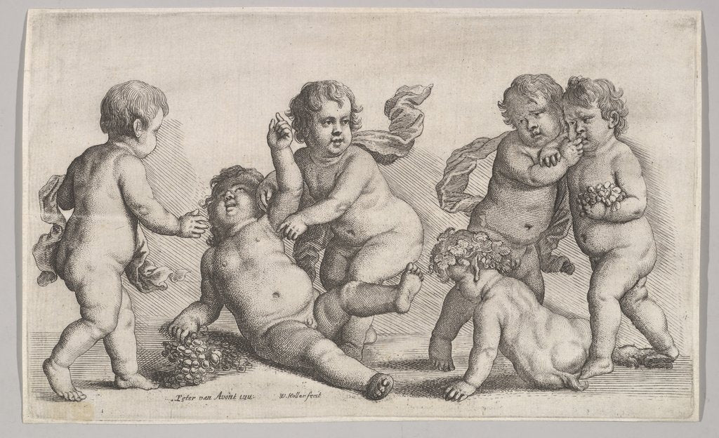 Detail of Five boys and a satyr, 1625-77 by Wenceslaus Hollar